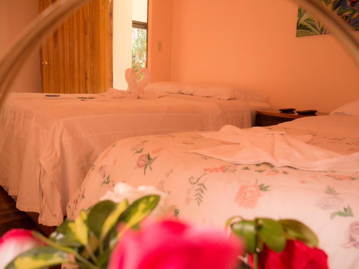 Monte Los Lirios Lodge Монте-Верде Экстерьер фото